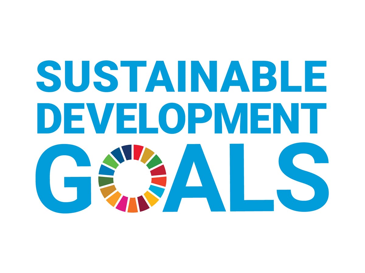 Logo for Sustainable Development Goals