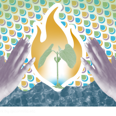 A digital collage showing a pair of hands reaching toward a seedling surrounded by an orange flame